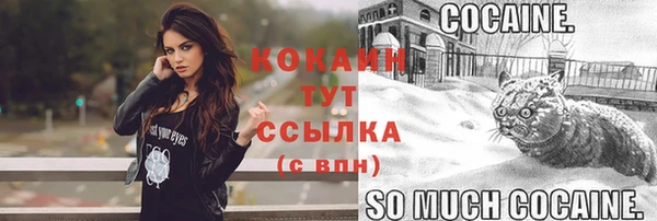 крисы Бугульма