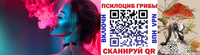 Купить где  Кудымкар  Галлюциногенные грибы Psilocybe 